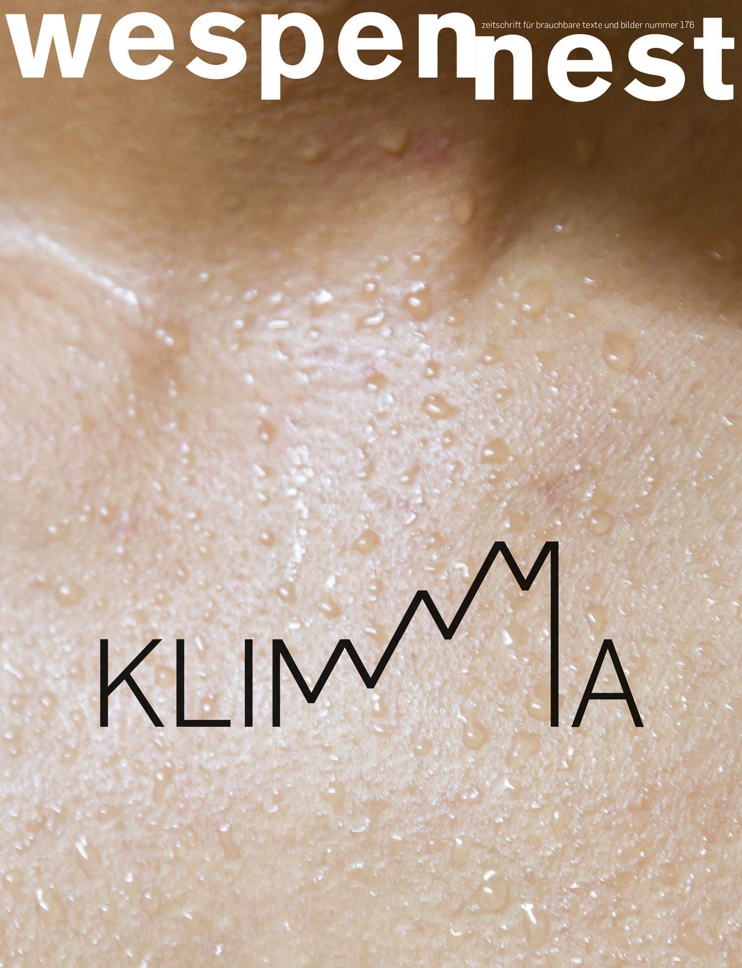 wespennest - zeitschrift für brauchbare texte und bilder: nummer 176 - Klima book