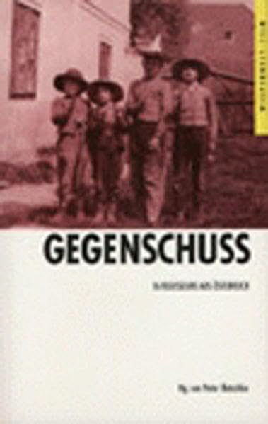 Gegenschuss: 16 Regisseure aus Österreich (Edition Wespennest /Film) Film, Art & Culture