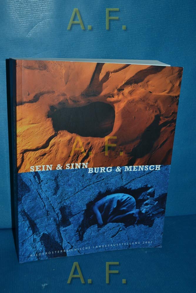 Sein & Sinn - Burg & Mensch. Books