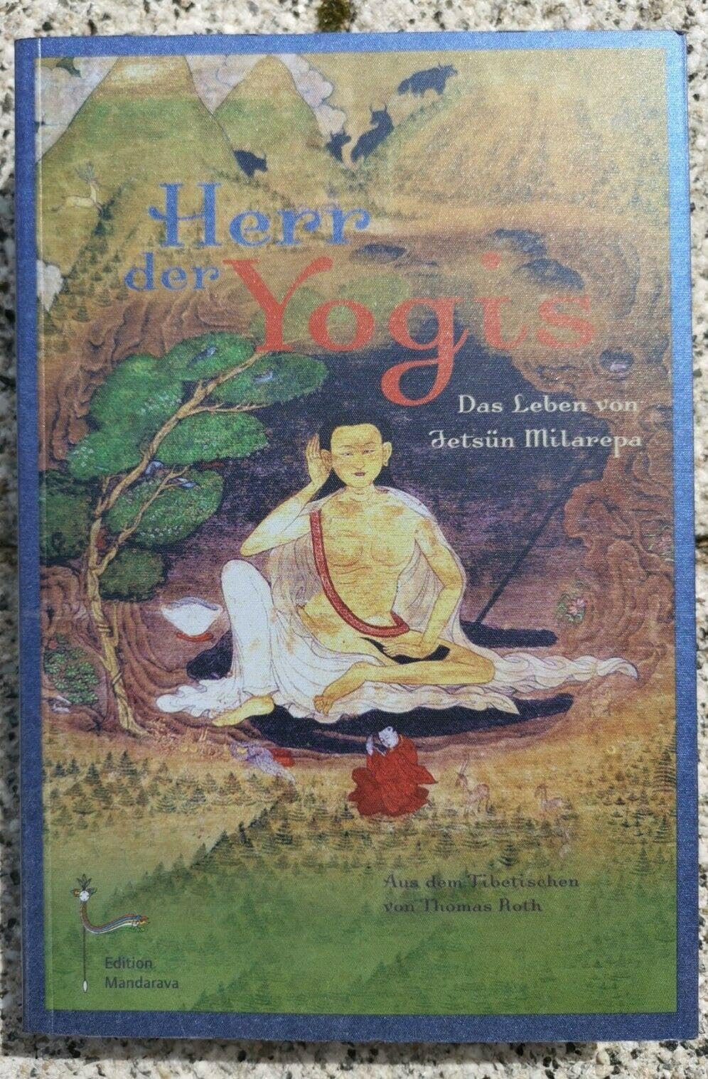 Herr der Yogis Politics & Society Books