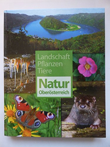 Natur Oberösterreich: Landschaft. Pflanzen. Tiere (Kataloge der Oberösterreichischen Landesmuseen - Neue Serie) Natural Sciences