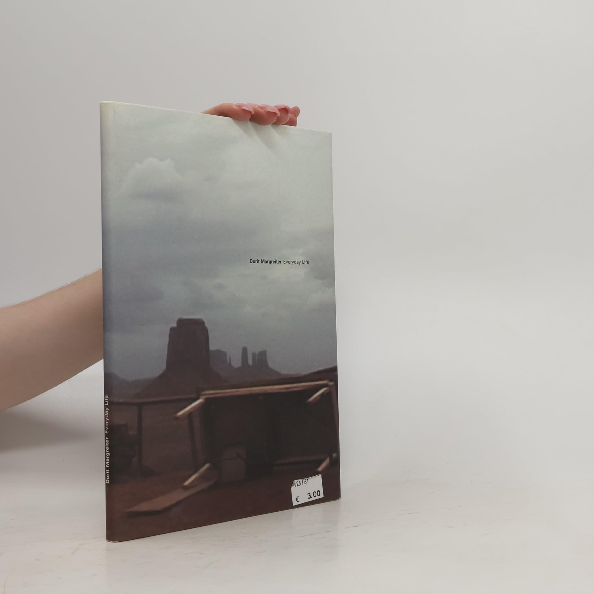 Product Image: Dorit Margreiter. Everyday Life