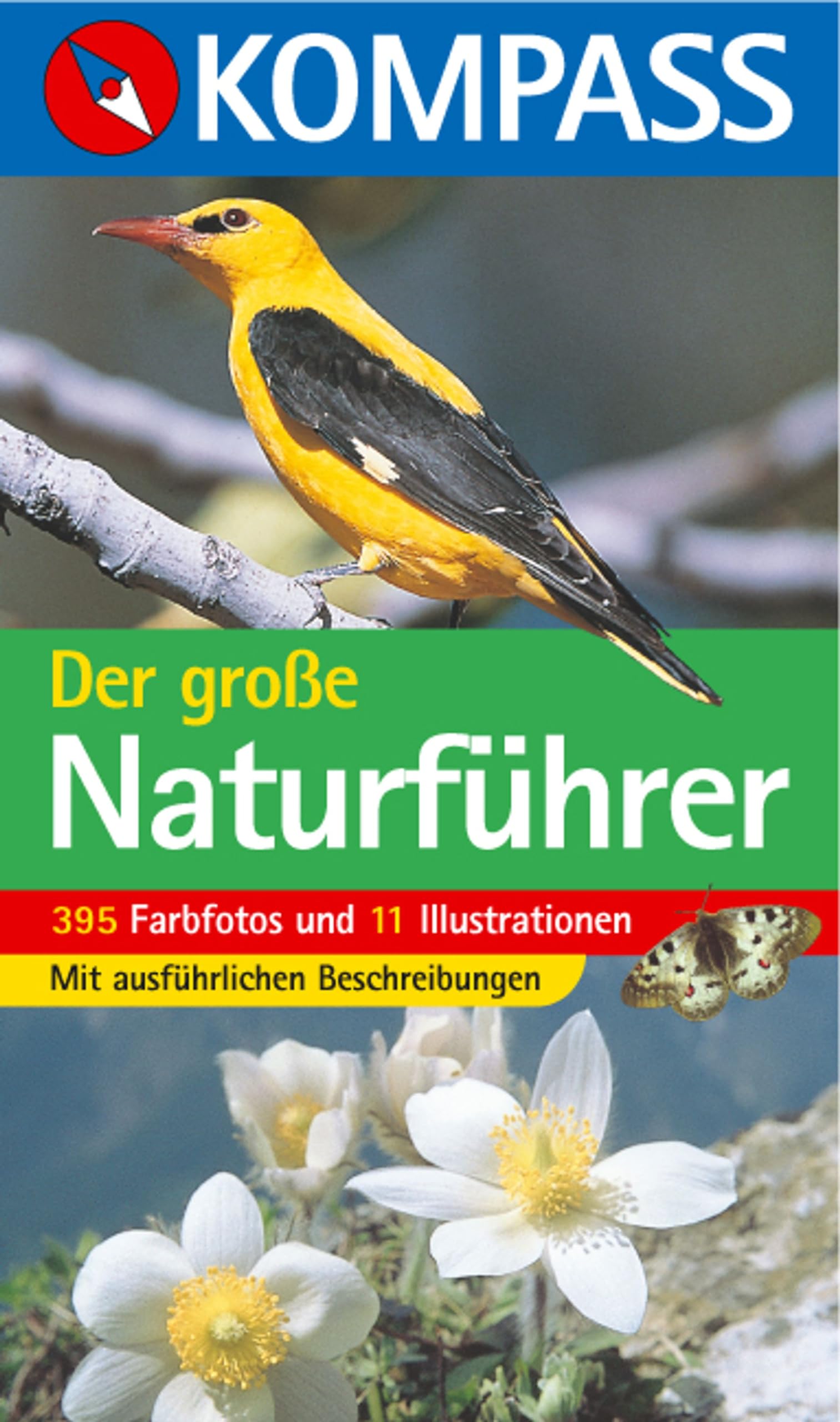 Der große Naturführer Garden & Plants