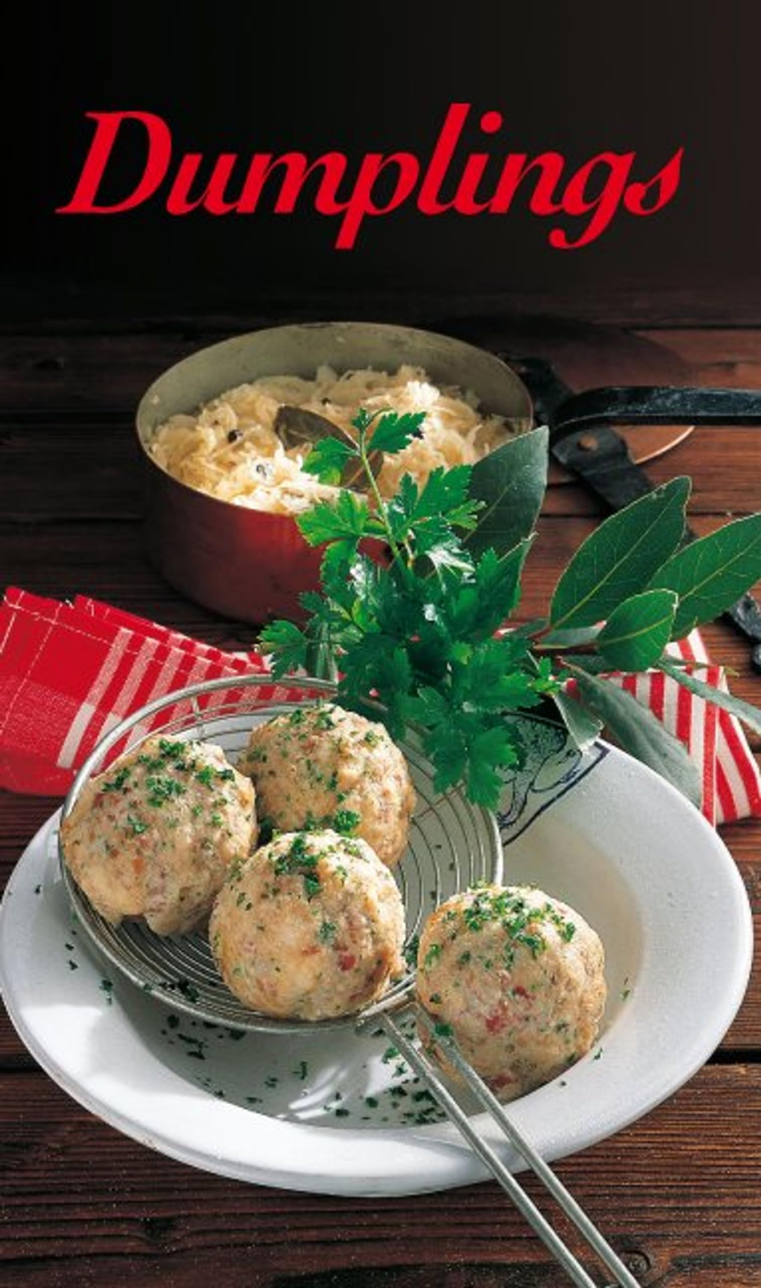 KOMPASS Küchenschätze Dumplings Cooking & Enjoying