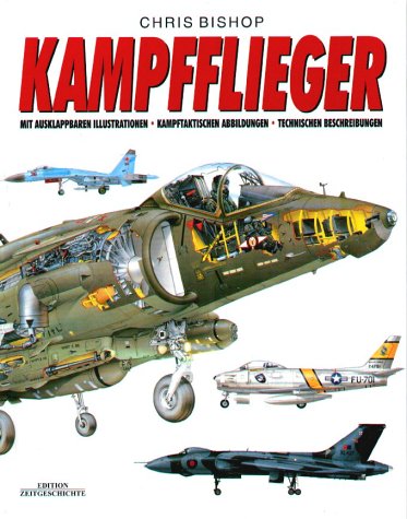 Kampfflieger. Feuerkraft, Taktiken, Technische Details Business & Technology