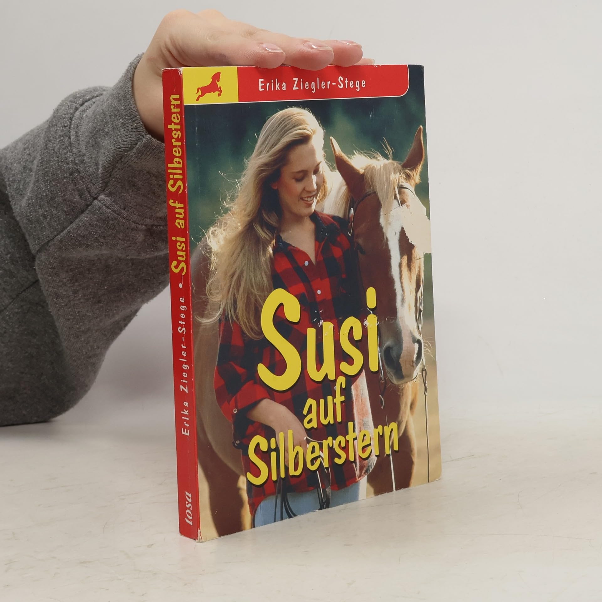 Susi auf Silberstern Contemporary literature