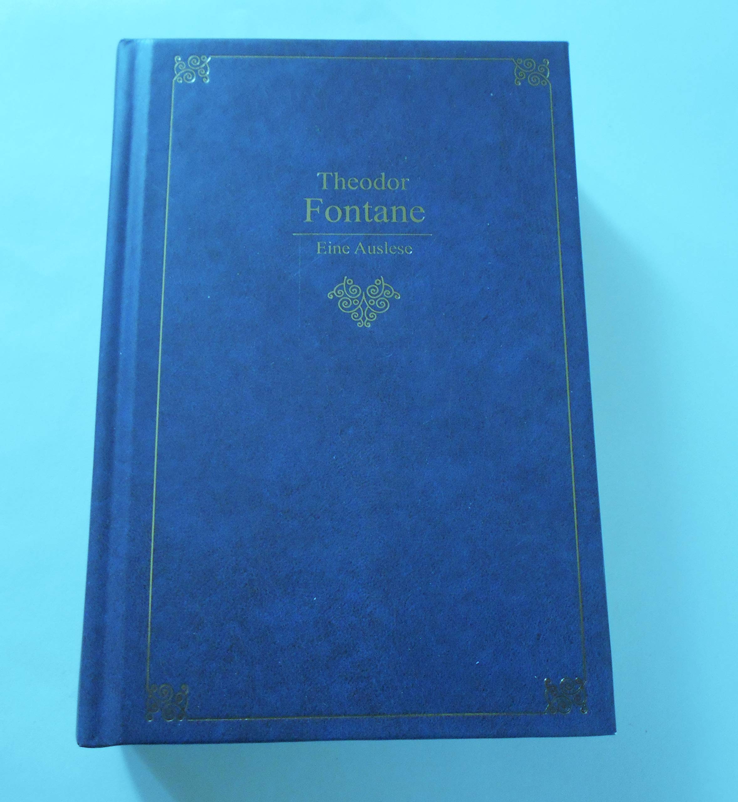 Theodor Fontane. Eine Auslese Art & Literature Books