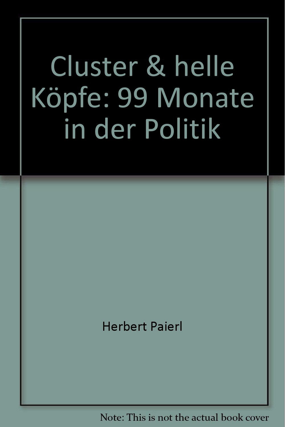 Cluster & Helle Köpfe: 99 Monate in der Politik Books