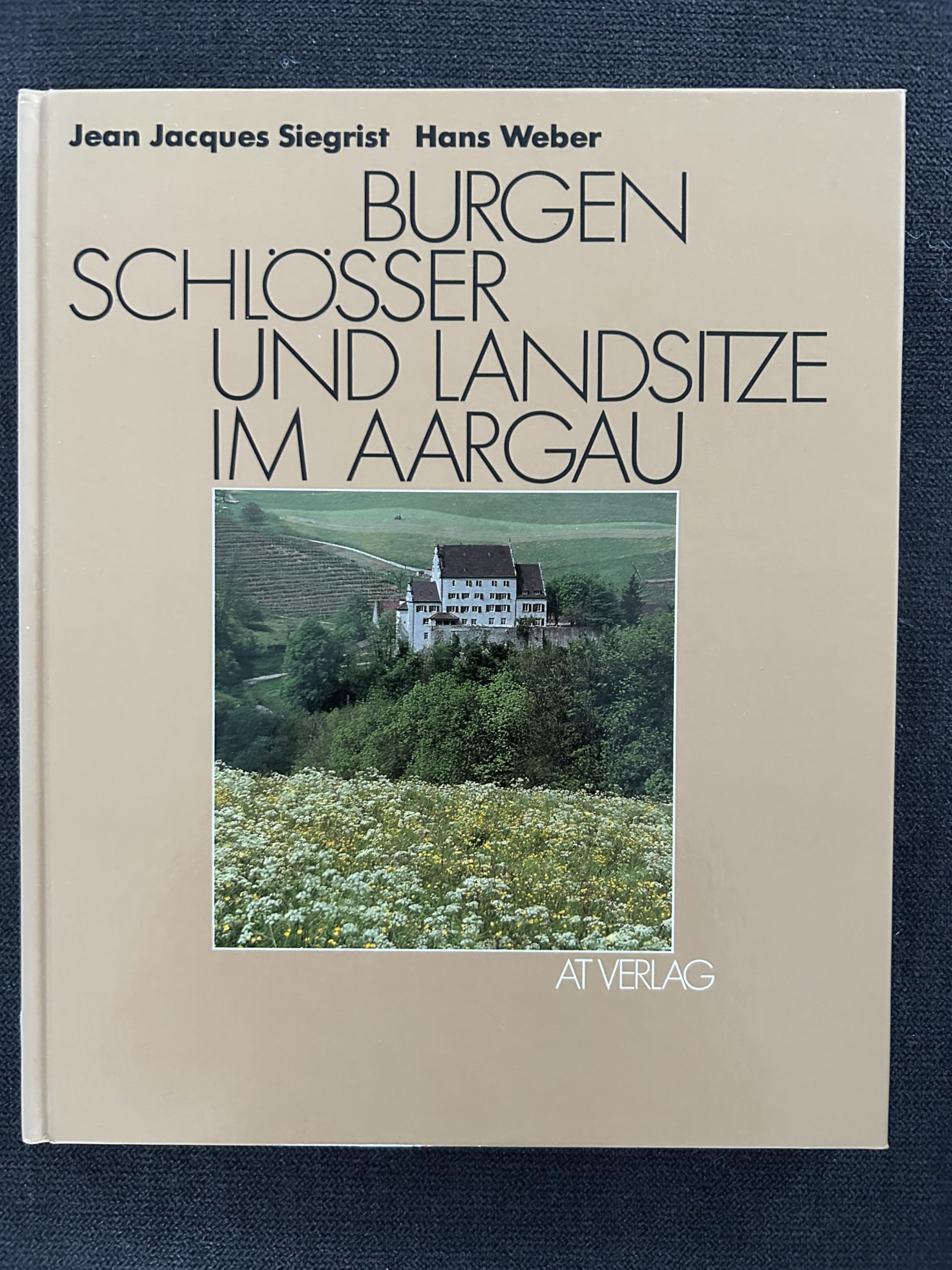 Burgen, Schlösser und Landsitze im Aargau Books
