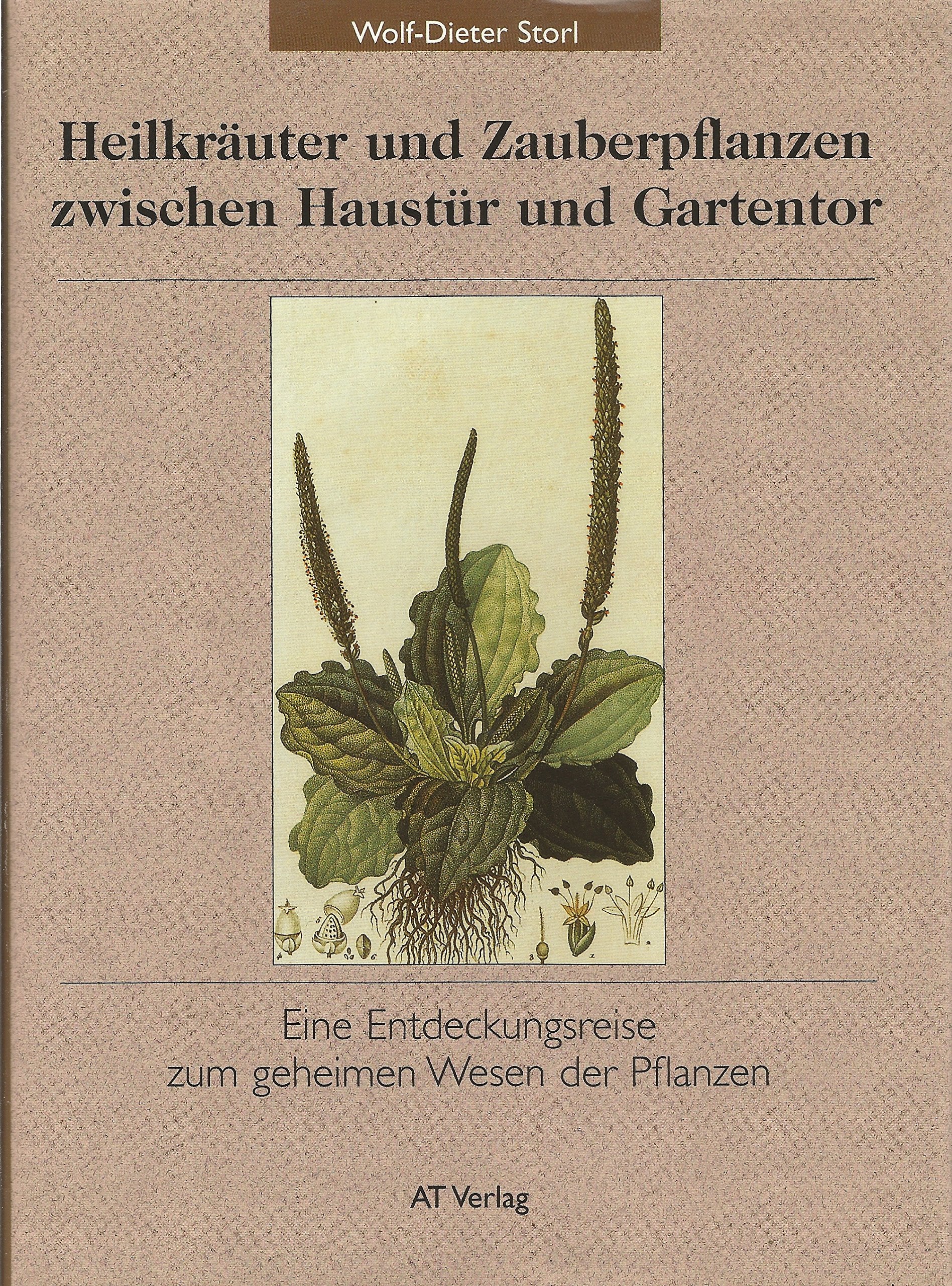 Heilkräuter und Zauberpflanzen zwischen Haustür und Gartentor: Eine Entdeckungsreise zum geheimnisvollen Wesen der Pflanzen (Natur und Heilen) Garden & Plants