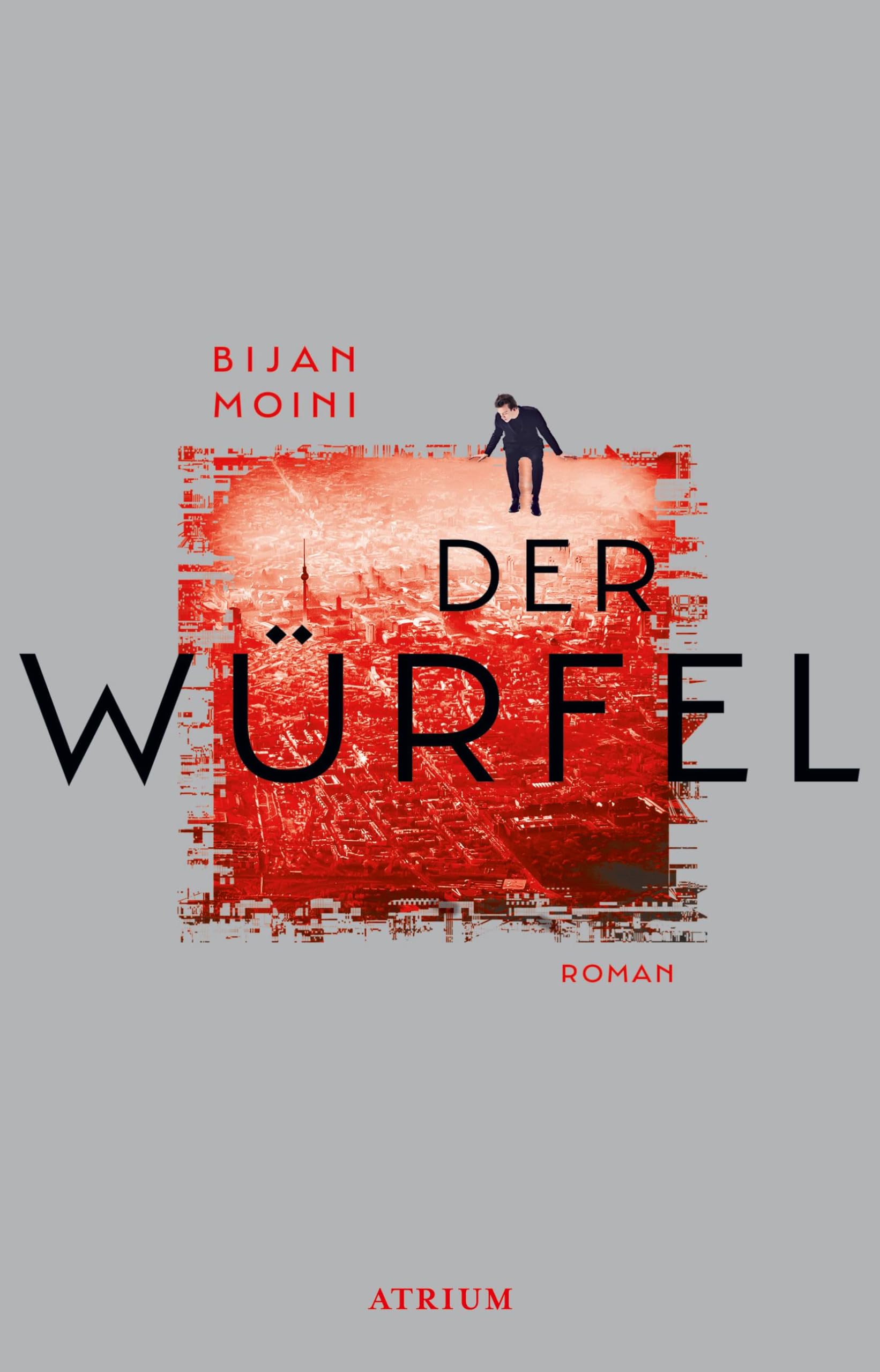 Der Würfel Contemporary literature Books