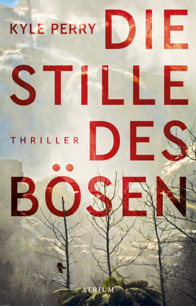 Die Stille des Bösen Contemporary literature Books