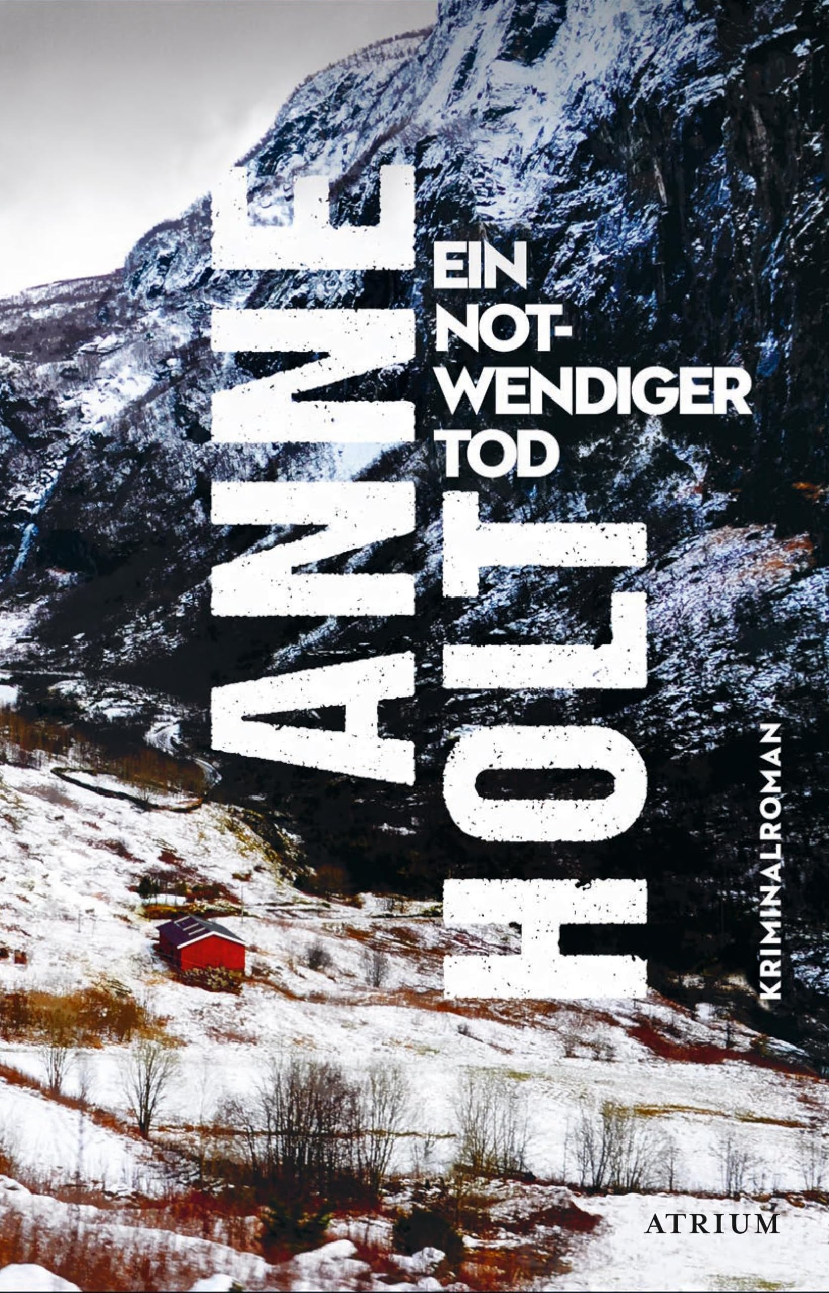 Ein notwendiger Tod Contemporary literature Books