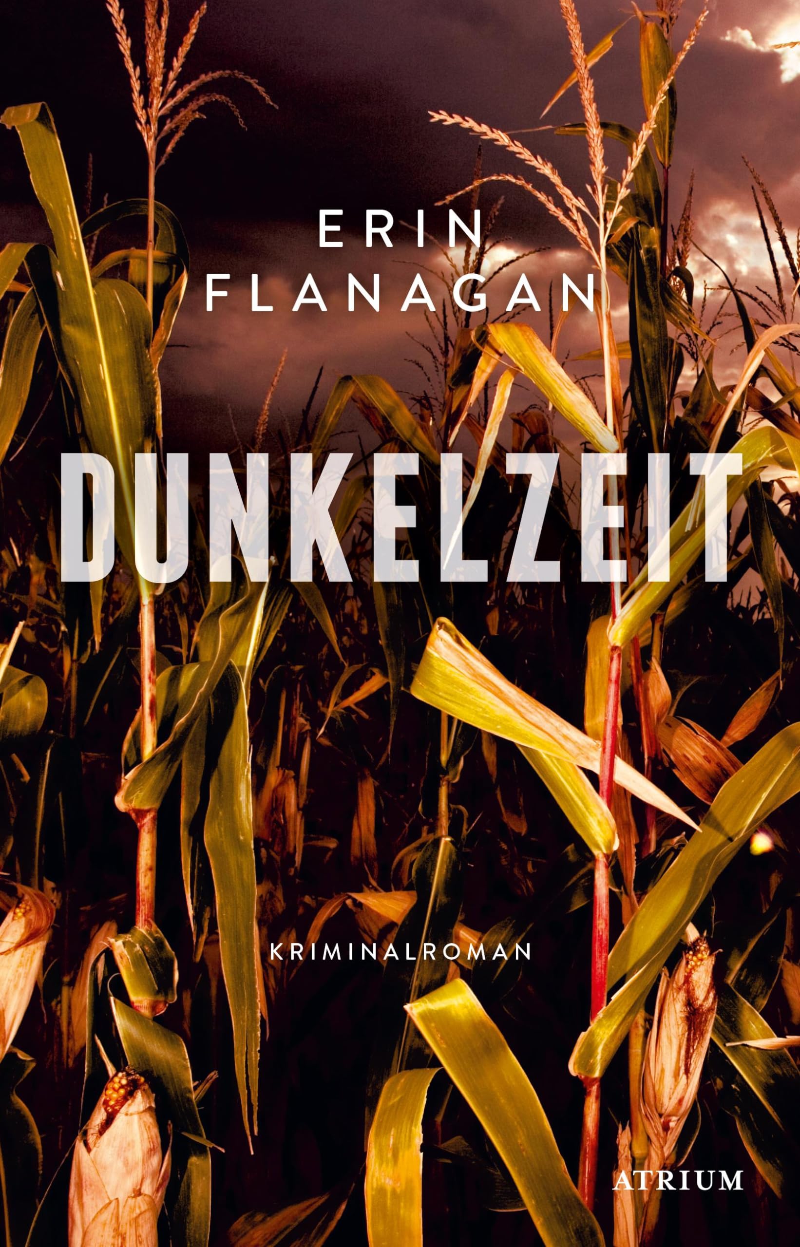 Dunkelzeit Contemporary literature Books