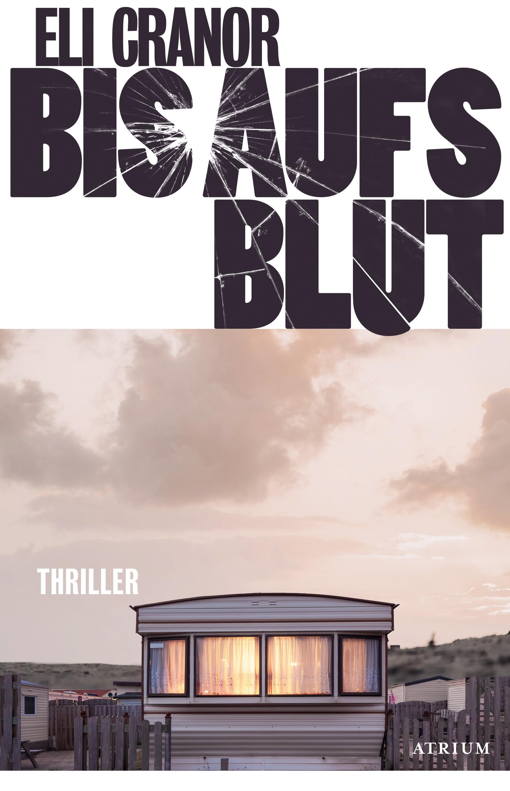 Bis aufs Blut Contemporary literature Books