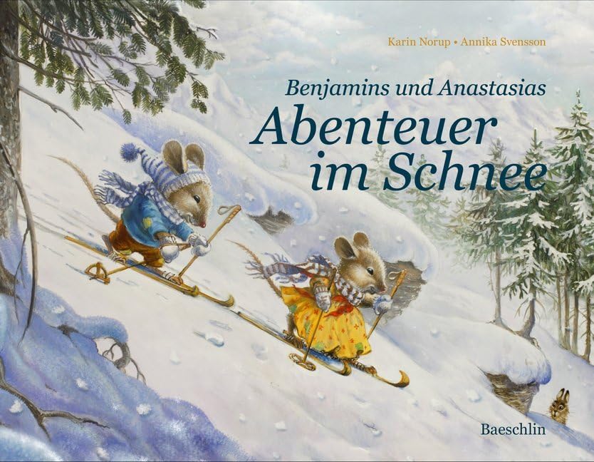 Benjamins und Anastasias Abenteuer im Schnee book