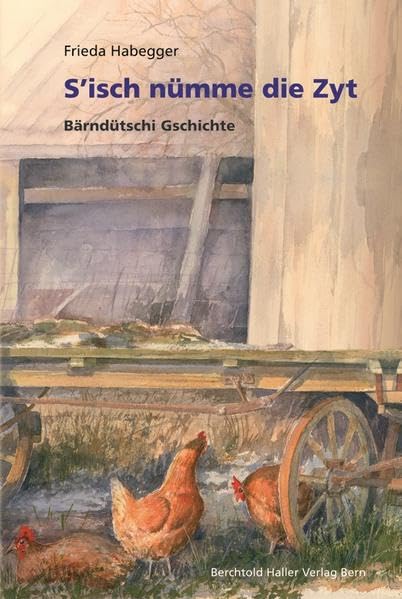 S'isch nümme die Zyt: Bärndütschi Gschichte Contemporary literature