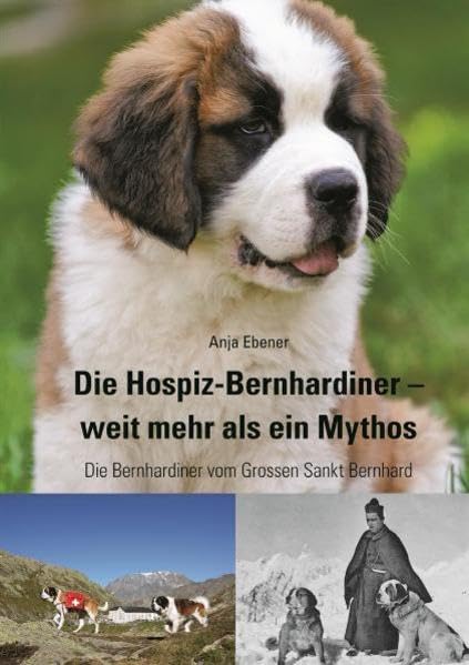 Die Hospiz-Bernhardiner - weit mehr als ein Mythos Contemporary literature