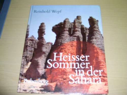 Heisser Sommer in der Sahara, als Arzt mit der TSI im Tenere Books