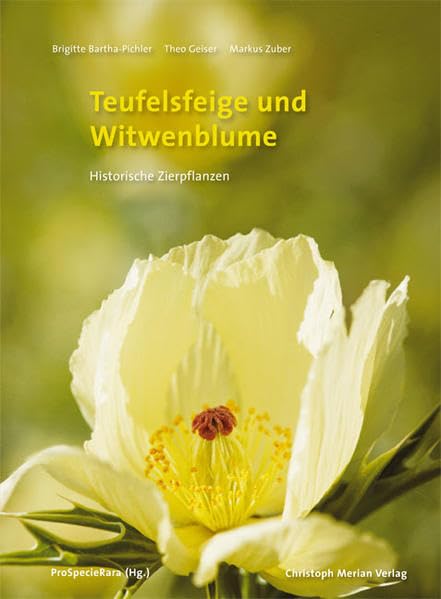 Teufelsfeige und Witwenblume: Historische Zierpflanzen Leisure, Home & Garden