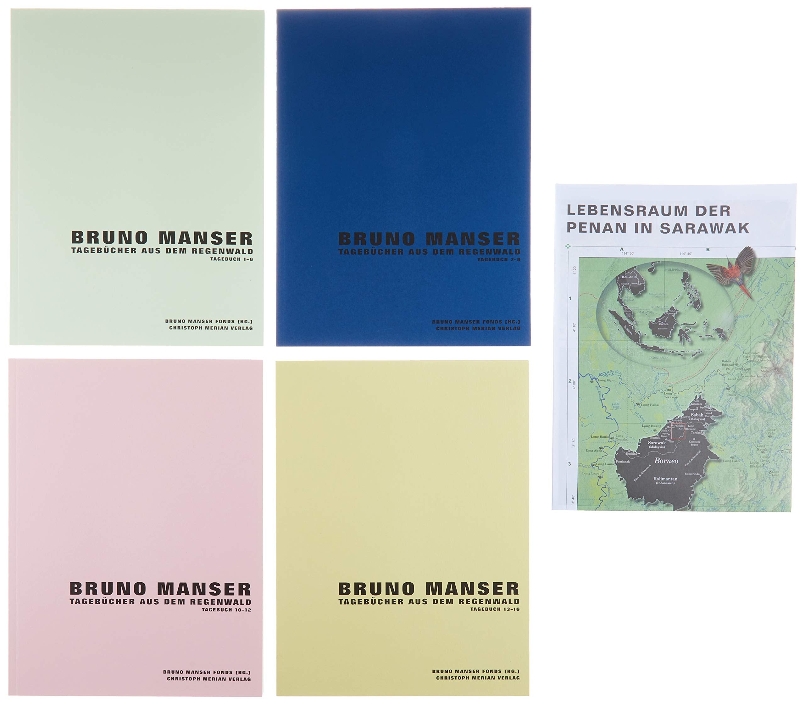 Bruno Manser - Tagebücher aus dem Regenwald Essays & Short Stories