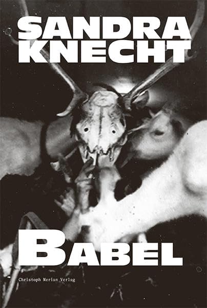 Product Image: Sandra Knecht - Babel