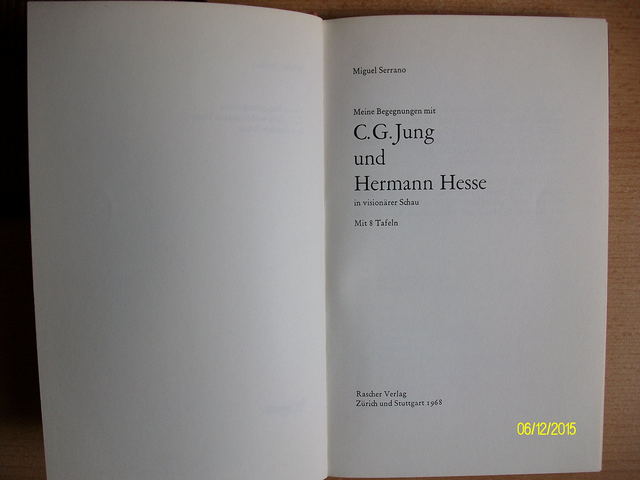 Meine Begegnungen mit C. G. Jung und Hermann Hesse in visionärer Schau Art & Literature