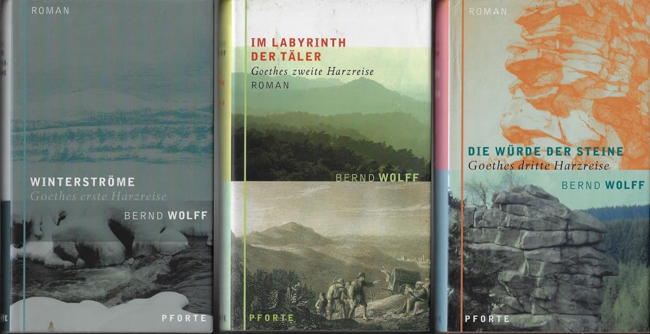 Winterströme Historical Fiction
