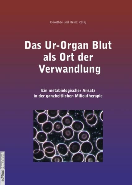 Das Ur-Organ Blut als Ort der Verwandlung: Ein metabiologischer Ansatz in der ganzheitlichen Milieutherapie Leisure & Fun