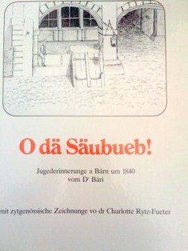 Product Image: O dä Säubueb!