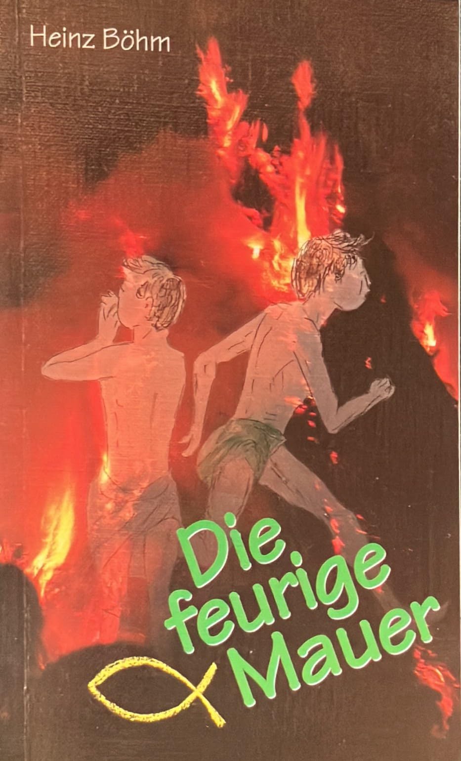 Die feurige Mauer: Abenteuer mit Rufus (1) Books