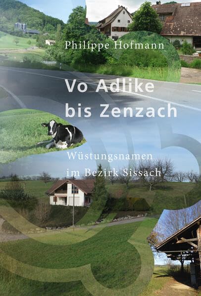 Vo Adlike bis Zenzach: Wüstungsnamen im Bezirk Sissach (Quellen und Forschungen zur Geschichte und Landeskunde des Kantons Basel-Landschaft) Politics & History