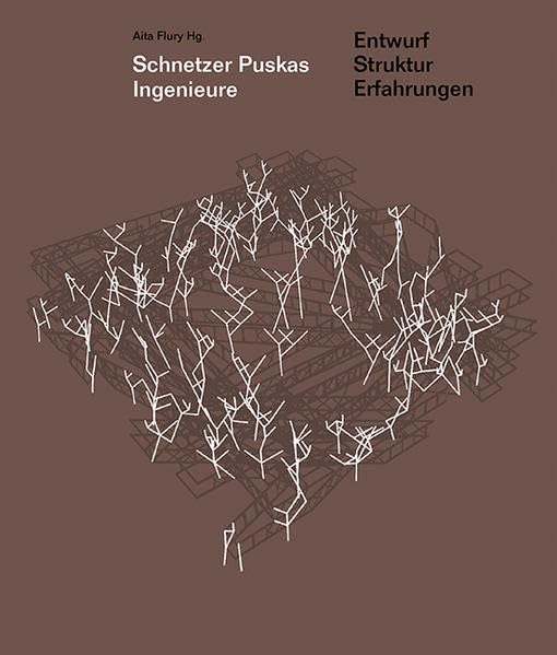 Schnetzer Puskas Ingenieure: Entwurf, Struktur, Erfahrungen Business & Technology