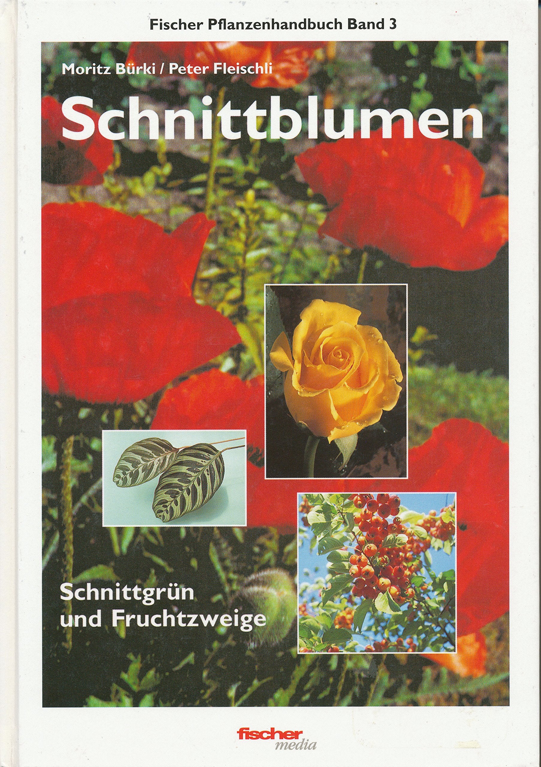 Schnittblumen: Schnittgrün, Zierfrüchte und Beeren Books