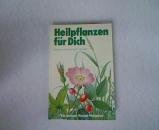 Heilpflanzen für dich. Die geheimnisvollen Kräfte der Natur. Health, Nutrition & Fitness