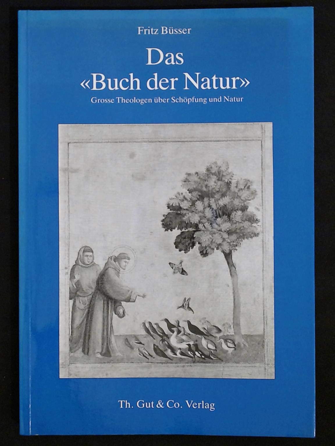 Das "Buch der Natur": Grosse Theologen über Schöpfung und Natur Books
