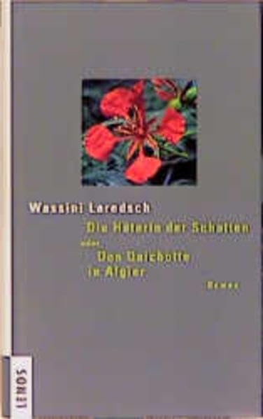 Die Hüterin der Schatten oder Don Quichotte in Algier: Roman Contemporary literature