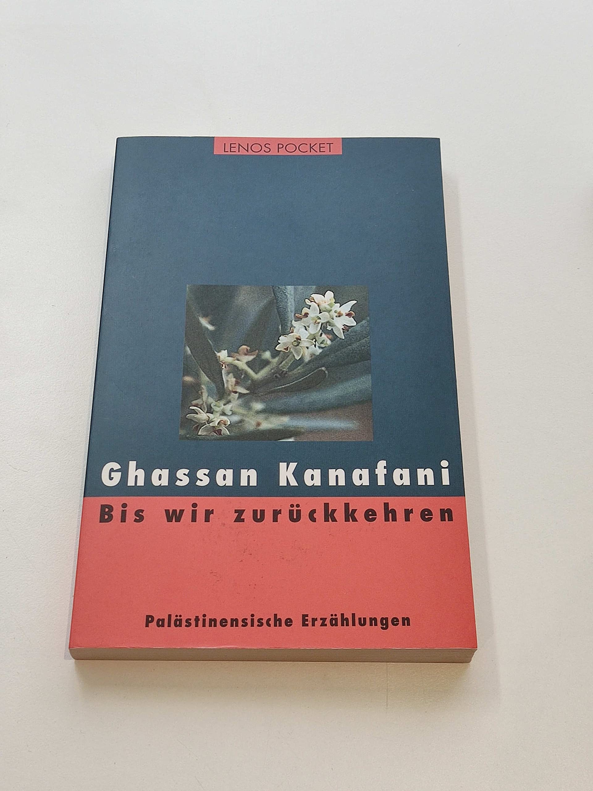 Lenos Pocket, Nr.37, Bis wir zurückkehren: Palästinensische Erzählungen (LP) Contemporary literature