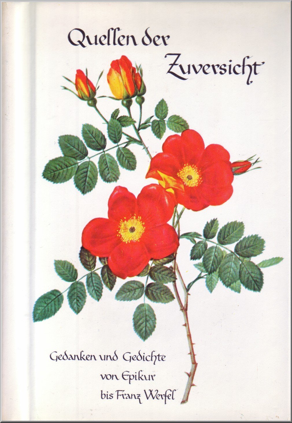 Quellen der Zuversicht Lifestyle