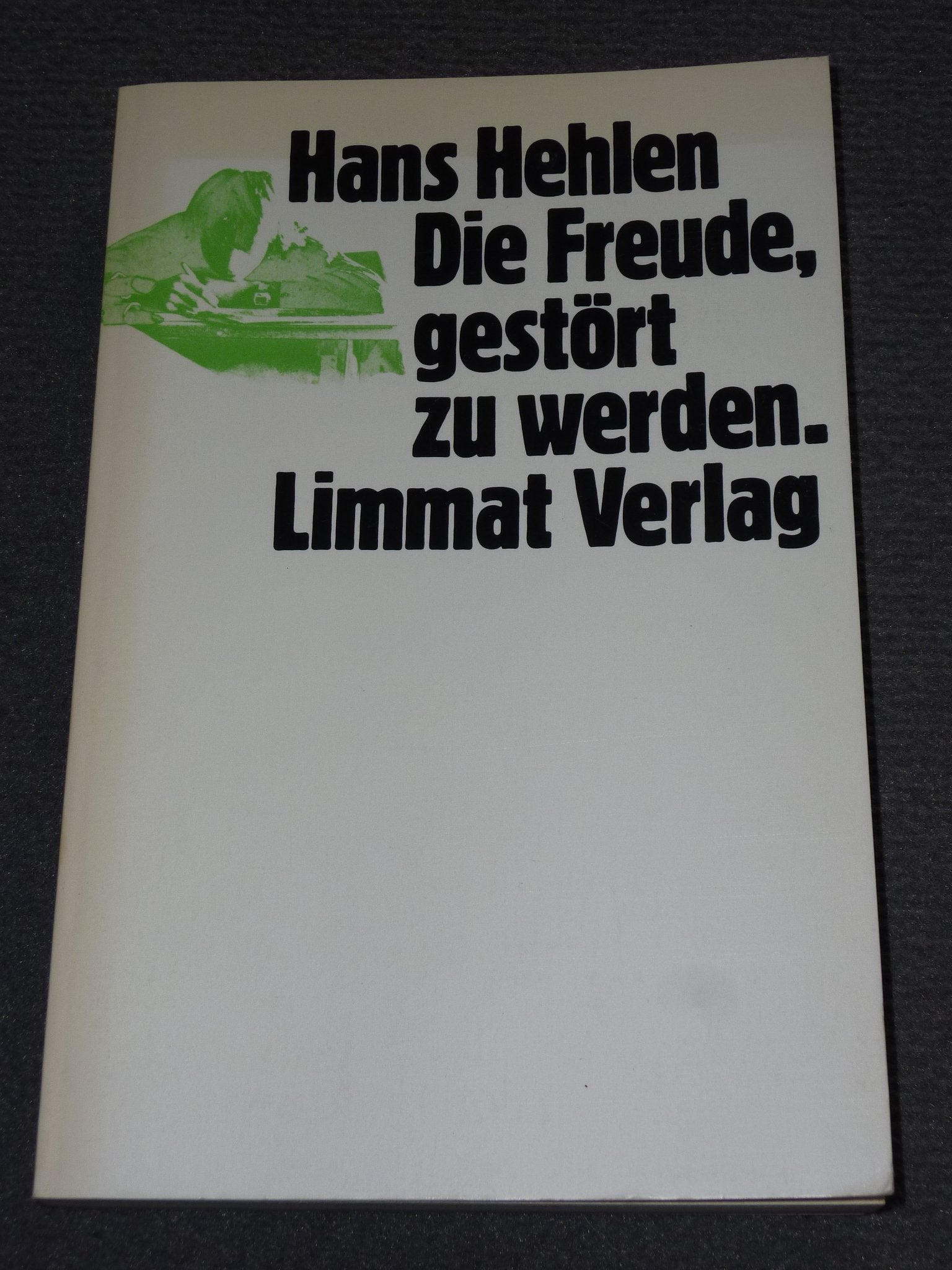 Die Freude, gestört zu werden. Auf Geheiss der Behörder verfasster Semesterbericht. book