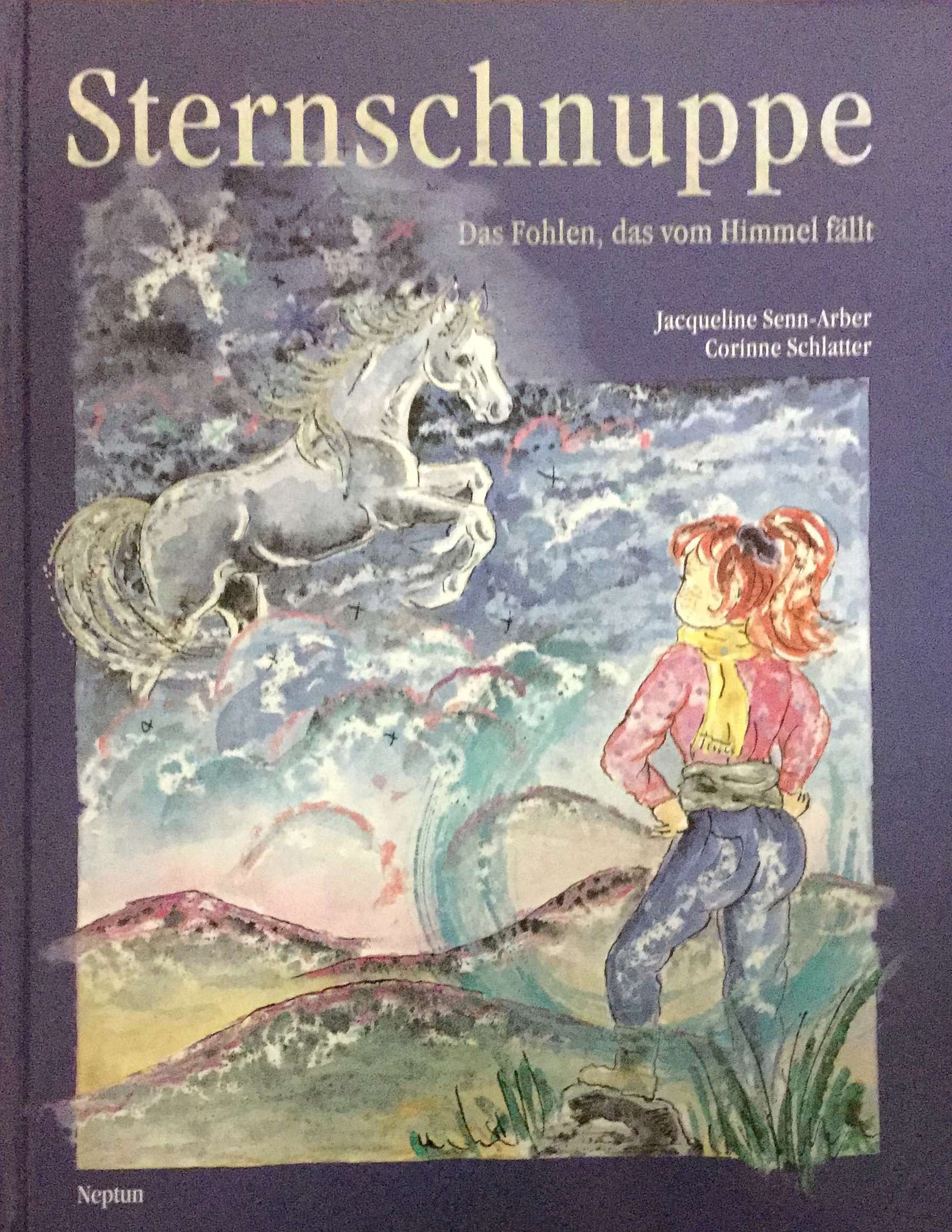 Sternschnuppe: Das Fohlen, das vom Himmel fällt Children's books
