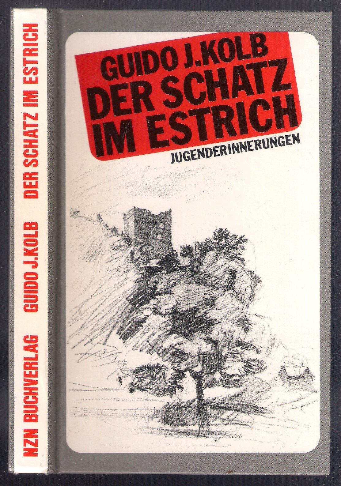 Der Schatz im Estrich : Jugenderinnerungen. Contemporary literature