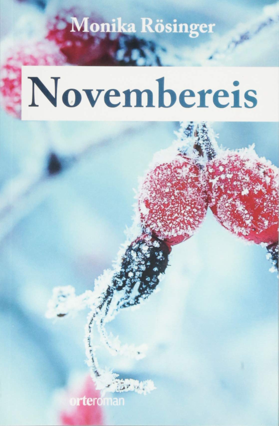 Novembereis: Historischer Roman aus dem Toggenburg Historical Fiction