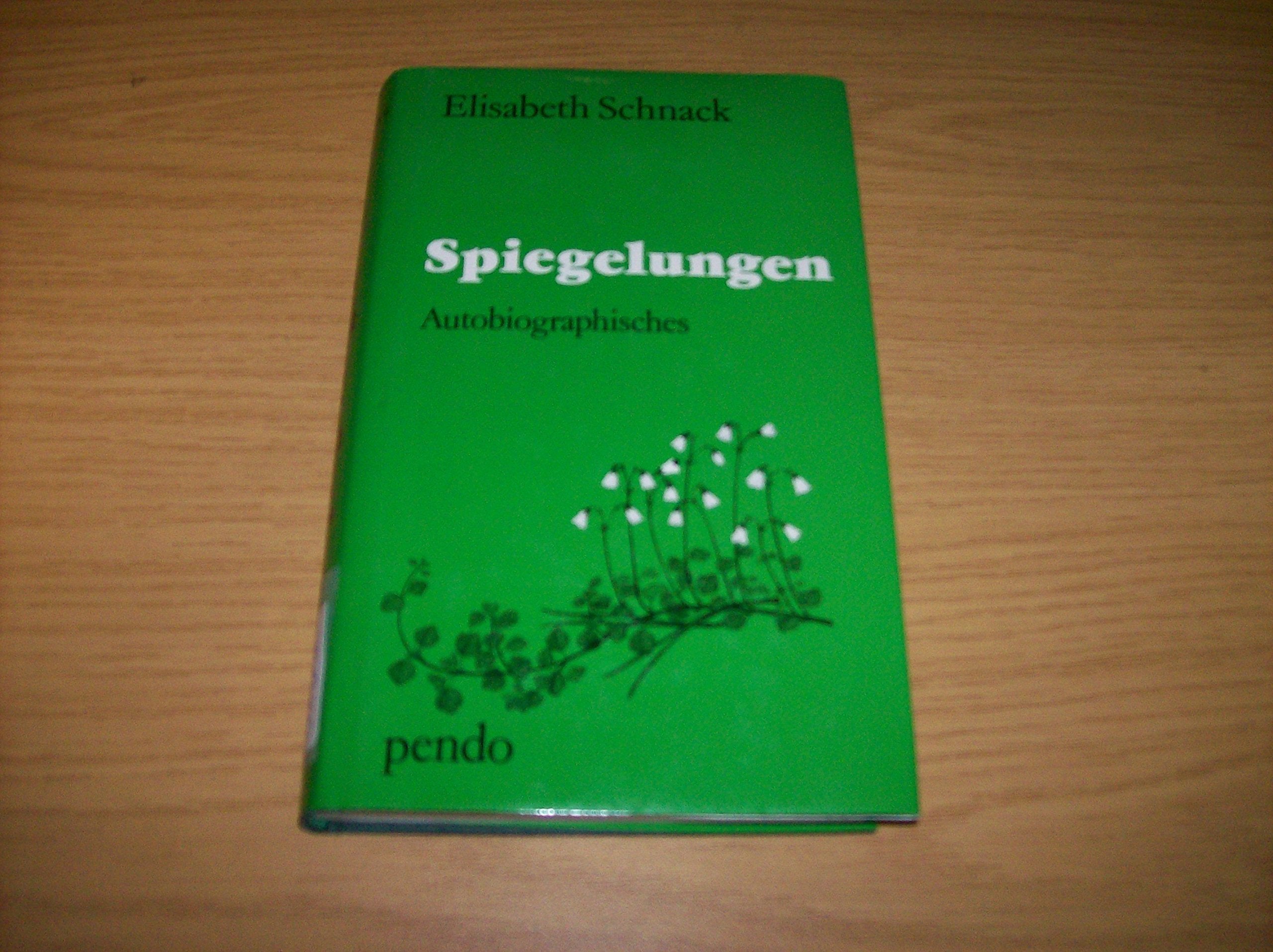 Spiegelungen. Begegnungen mit angelsächsischen Autoren Books