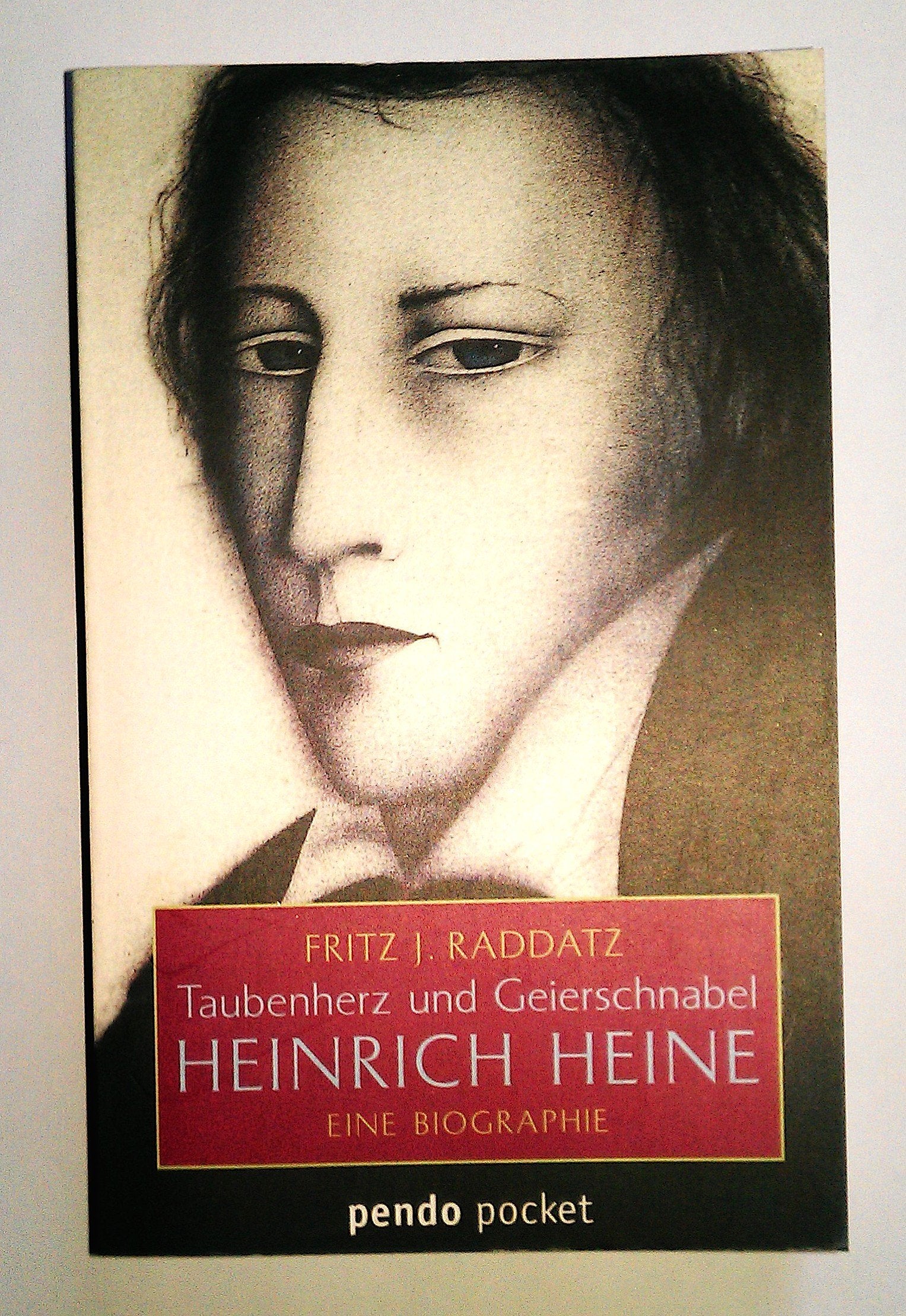 pendo pocket, Bd.21, Taubenherz und Geierschnabel, Heinrich Heine Art & Literature