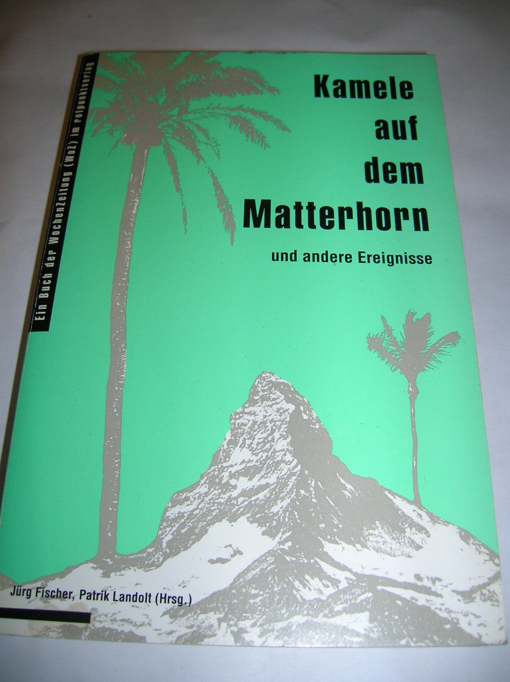 Kamele auf dem Matterhorn: Und andere Ereignisse. 10 Jahre WOZ - ein Lesebuch (Reihe WoZ im Rotpunktverlag) Film, Art & Culture