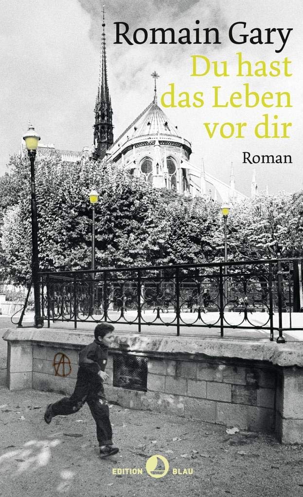 Du hast das Leben vor dir Contemporary literature Books
