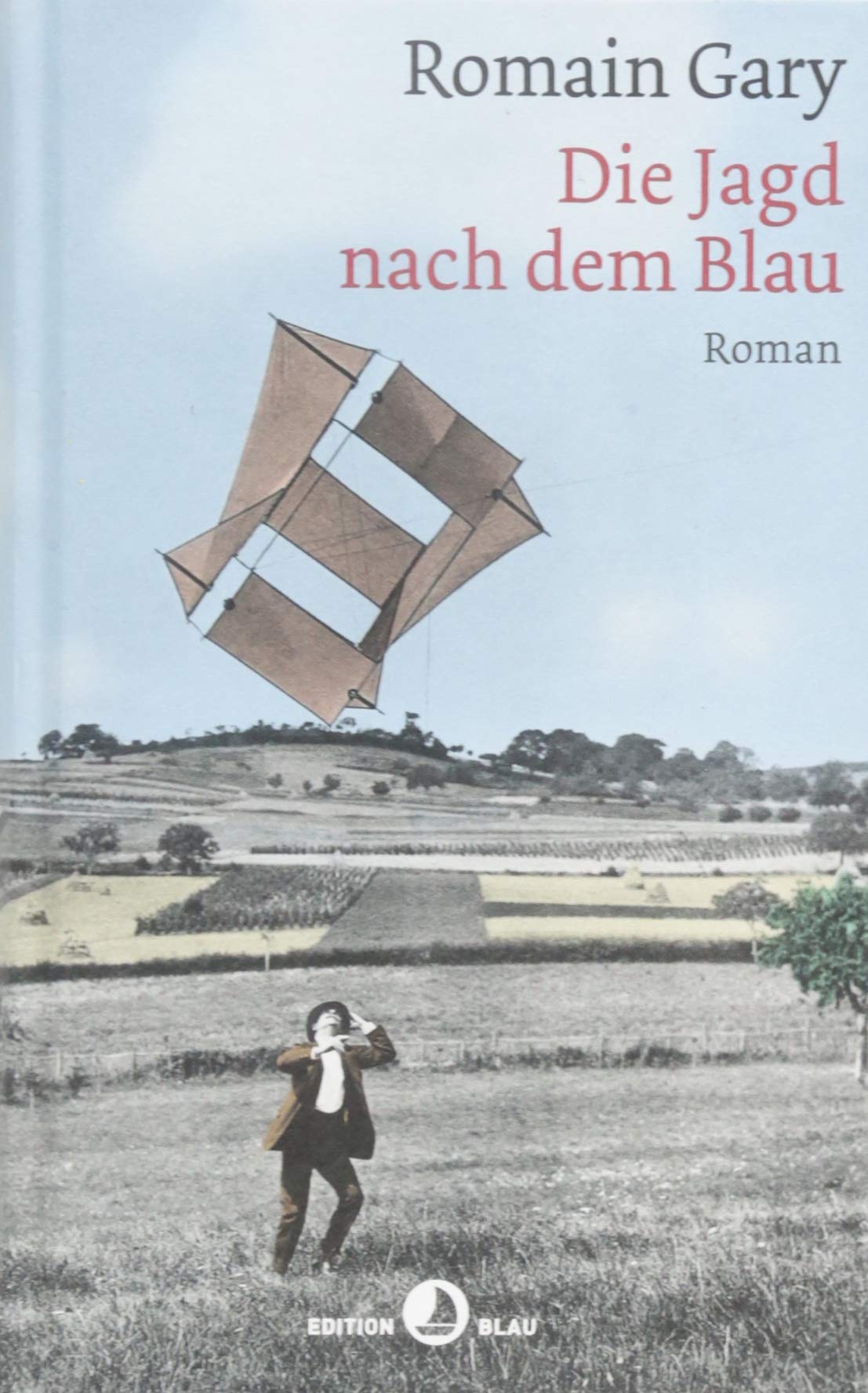 Die Jagd nach dem Blau Contemporary literature Books