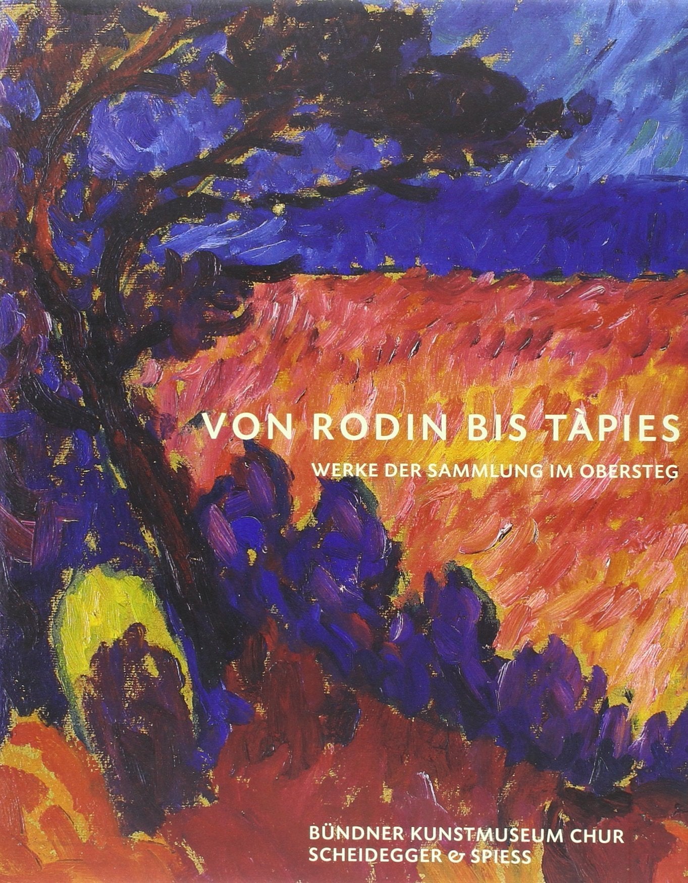 Von Rodin bis Tàpies: Werke der Sammlung Im Obersteg Film, Art & Culture