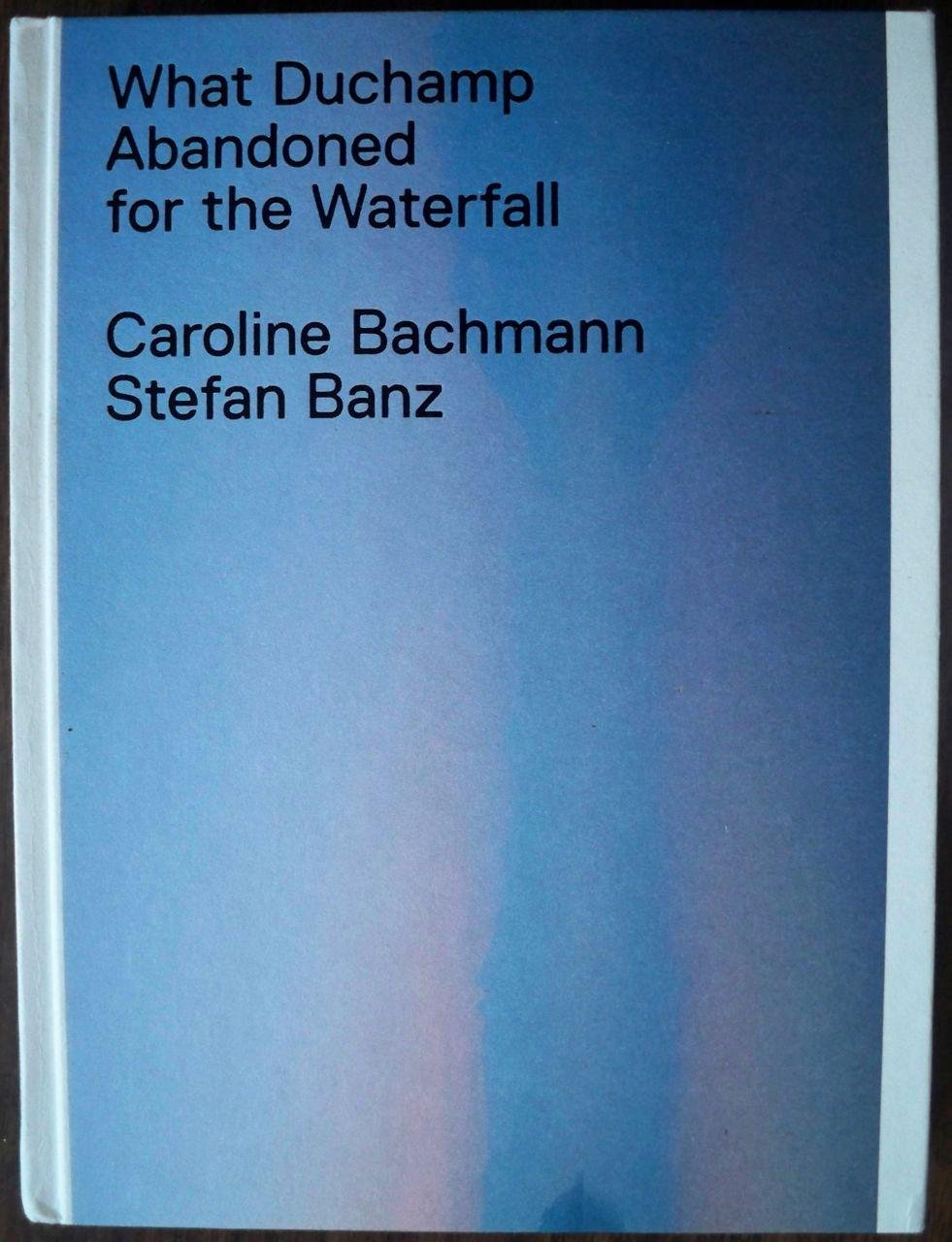 What Duchamp Abandoned for the Waterfall: Engl.-Französ.-Dtsch. Film, Art & Culture